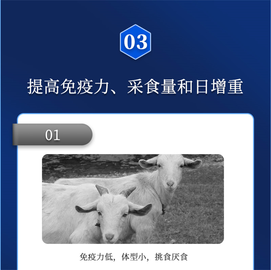 向日葵视频下app免费下载動保牛羊飼料添加劑牛羊元帥