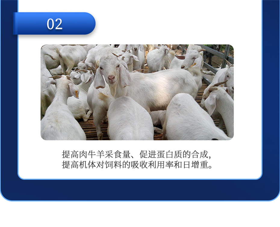 向日葵视频下app免费下载動保牛羊飼料添加劑牛羊元帥