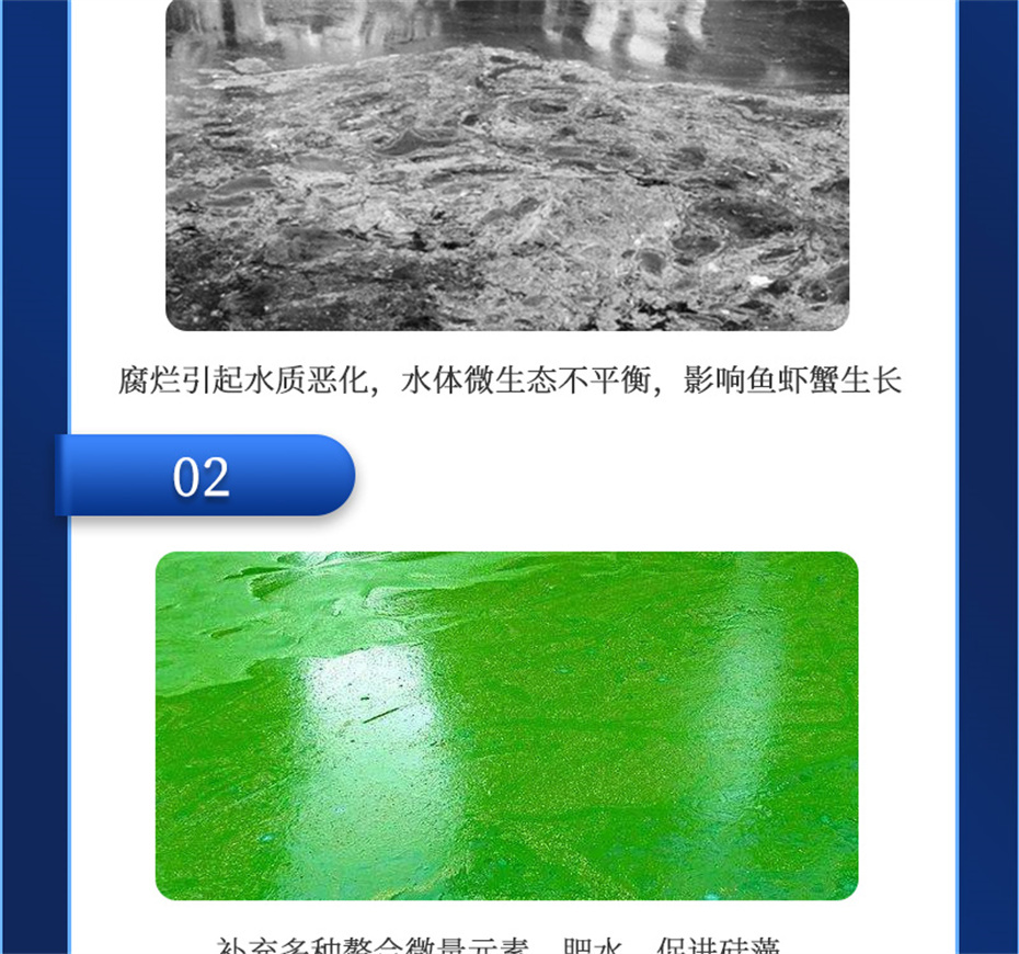 向日葵视频下app免费下载動保水產飼料添加劑水藻1號