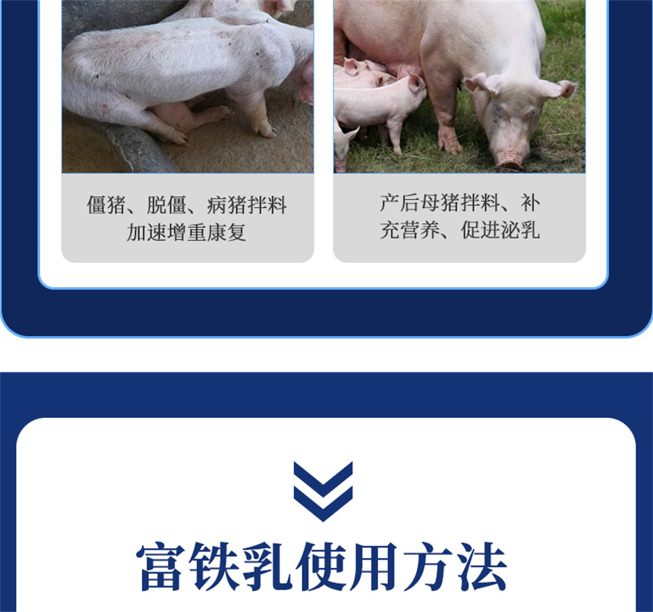 向日葵视频下app免费下载動保豬飼料添加劑富鐵乳