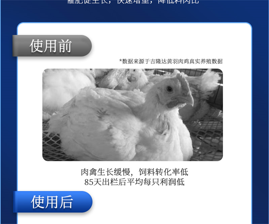 向日葵视频下app免费下载動保禽飼料添加劑肥禽王