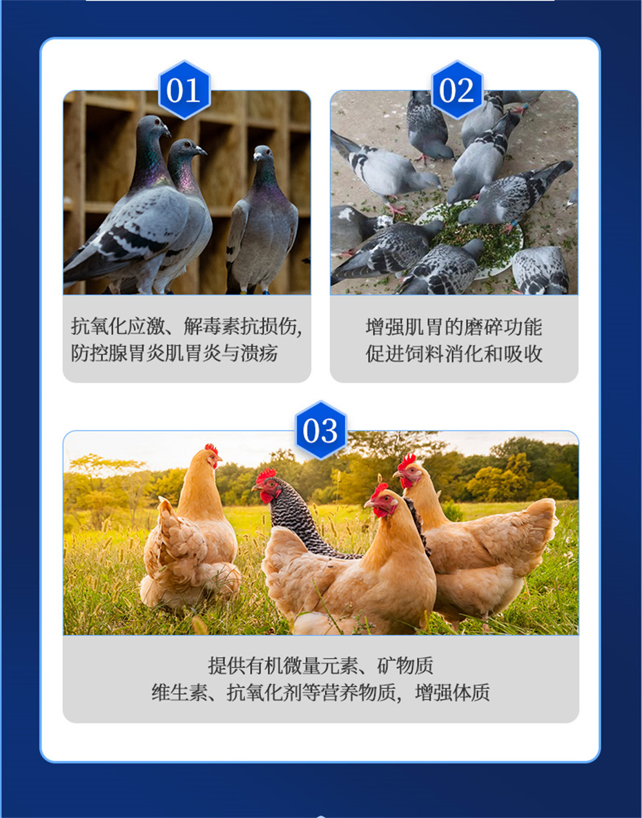 向日葵视频下app免费下载動保禽飼料添加劑胃黃金