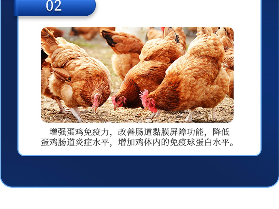 向日葵视频下app免费下载動保禽飼料添加劑蛋高
